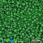 Бісер чеський №116m/50120m, Зелений, Прозорий матовий, 10/0 (BIS-005303)