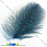 /p2634-perya-cesarki-sinie-5-8-sm/