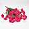 /p59278-buket-margaritok-33-sm/