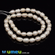 Намистини натуральні річкові Перли молочні Рис, 8-10х6-7 мм (BUS-048784)