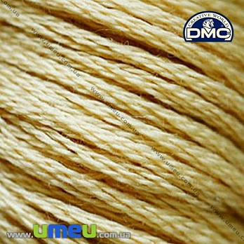 Муліне DMC 0738 Жовто-коричневий, оч.св. (DMC-005955)