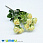 /p44837-buket-roz-33-sm-zheltiy/