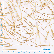 Гвоздики із нерж. сталі, 25 мм, Покриття 18 kt (STL-056248)