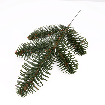 Гілка ялинки Нобіліс одностороння, 20 см, Зелена (DEC-056235)