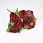 /ru/p57664-buket-roz-32-sm-krasniy/