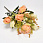 /p54183-buket-roz-35-sm-persikoviy/