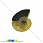 /p31635-ammonit-okameneliy-21x17x4-5-mm/