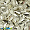 /ru/p38094-payetki-indiya-lodochka-9x6-mm-zolotistie-svetlie/