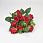 /p57656-buket-roz-s-evkaliptom-29-sm-krasniy/