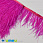 /ru/p40284-perya-strausa-na-lente-8-10-sm-malinovie/