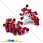 /p14990-tichinki-na-nitke-v-sahare-krasnie/