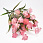 /p54048-buket-dekorativniy-35-sm-rozoviy/