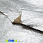 /p35919-naturalnaya-italyanskaya-kozha-metallik-0-9-1-1-mm-serebristaya/