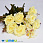 /p48290-buket-roz-s-romashkami-34-sm-zheltiy/