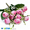 /p48327-buket-kamelii-35-sm-rozoviy/