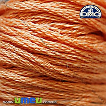 Муліне DMC 0402 Червоне дерево, оч.св. (DMC-005863)