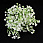 /p54051-buket-gipsofili-36-sm-beliy/