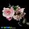 /p45849-buket-pion-s-gortenziey-27-sm-persikoviy/