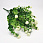 /p54191-buket-roz-34-sm-kremoviy/