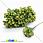 /ru/p15439-tichinki-na-provoloke-haki/