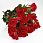 /p57621-buket-azalii-38-sm-krasniy/
