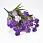 /p54044-buket-dekorativniy-35-sm-sireneviy/