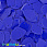 /ru/p51180-payetki-indiya-treugolnik-15x13-mm-sinie/