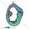 /p31586-podveska-iz-naturalnogo-kamnya-druza-agata-iris-66x46-mm/