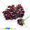 /ru/p15433-tichinki-na-provoloke-bordovie/