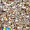 /p41046-payetki-indiya-cveti-10-mm-korichnevie/