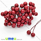 Калина, 8 мм, Червона темна (DIF-025710)