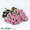 /p44719-buket-roz-34-sm-rozoviy/