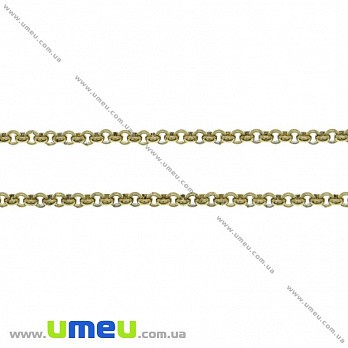 Ланцюг з нержавіючої сталі, Золото, 2 мм (STL-026043)