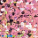 /p41798-payetki-indiya-kruglie-ploskie-4-mm-rozovie-av/