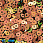 /p37588-payetki-indiya-kruglie-ploskie-4-mm-korichnevo-zelenie-av/