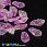 /p46160-busina-lampwork-lepestok-22x12-mm-sirenevaya/