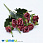 /p44819-buket-roz-35-sm-krasniy/