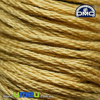 Муліне DMC 0834 Оливково-золотий, оч.св. (DMC-006011)