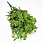 /p52689-buket-kermeka-34-sm-zeleniy/