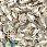 /ru/p38098-payetki-indiya-lodochka-9x6-mm-bezhevie/