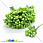 /ru/p15438-tichinki-na-provoloke-salatovie/
