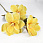 /p62716-magnoliya-lateksnaya-zheltaya/