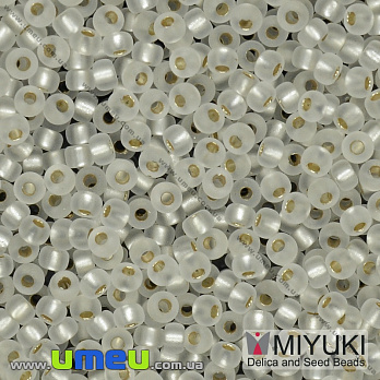 Бісер японський Miyuki круглий RR 11/0 №1901, Сріблястий (BIS-036657)
