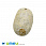 /p37030-podveska-iz-naturalnogo-kamnya-korall-okameneliy-ovalnaya-31x20-mm/