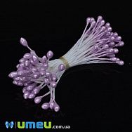 Тичинки на нитці маленькі, Бузкові (DIF-045545)