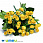 /p48325-buket-roz-28-sm-zheltiy/