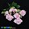 /p45818-buket-roz-33-sm-rozoviy/