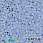/p49675-biser-yaponskiy-miyuki-delica-15-0-dbs1497-goluboy-svetliy/