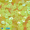 /p37568-payetki-indiya-kruglie-ploskie-4-mm-zheltie/