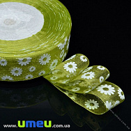 Стрічка з органзи Ромашки, 25 мм, Оливкова (LEN-019683)